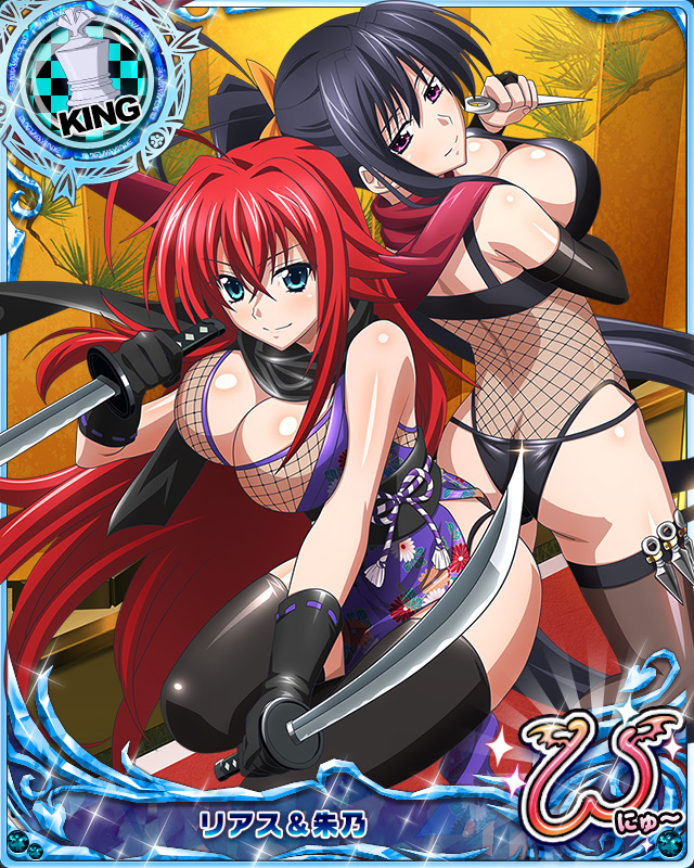 rias gremory and himejima akeno (high school dxd and 1 more)