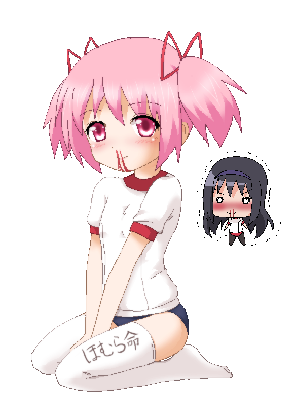 akemi homura and kaname madoka (mahou shoujo madoka magica) drawn by hayashiya_zankurou