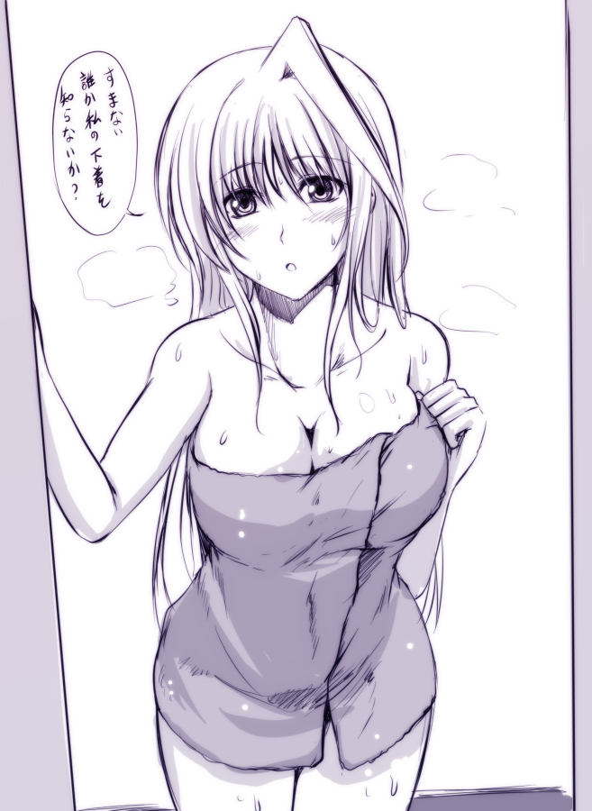 reinforce (lyrical nanoha and 1 more) drawn by hagane_soushi