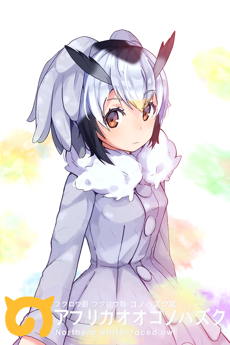 northern white-faced owl (kemono friends) drawn by pot-palm