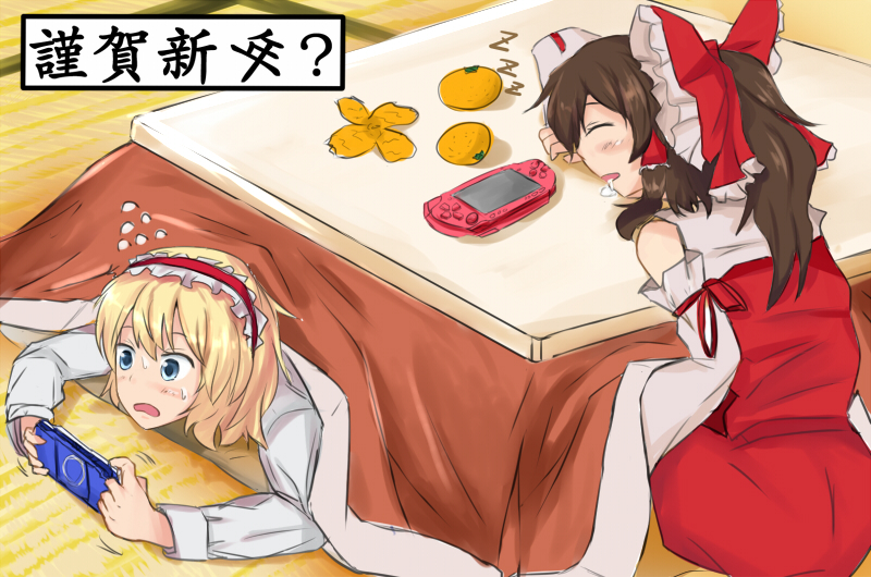 hakurei reimu and alice margatroid (touhou) drawn by poshi_(ginmokusei)