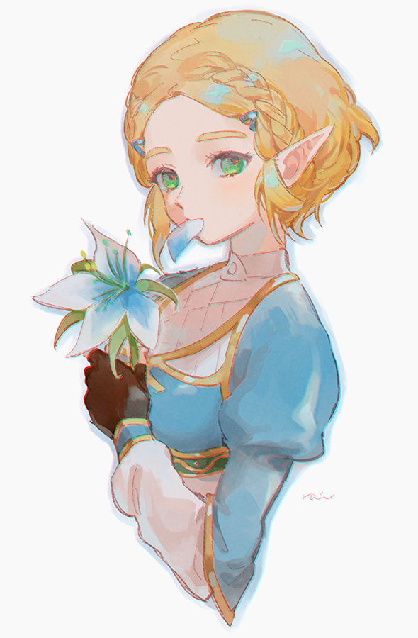 princess zelda (the legend of zelda and 1 more) drawn by rain_rkgk