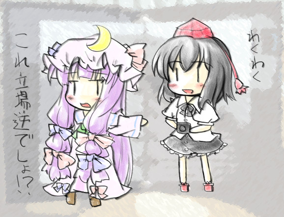 patchouli knowledge and shameimaru aya (touhou) drawn by natsuki_(silent_selena)