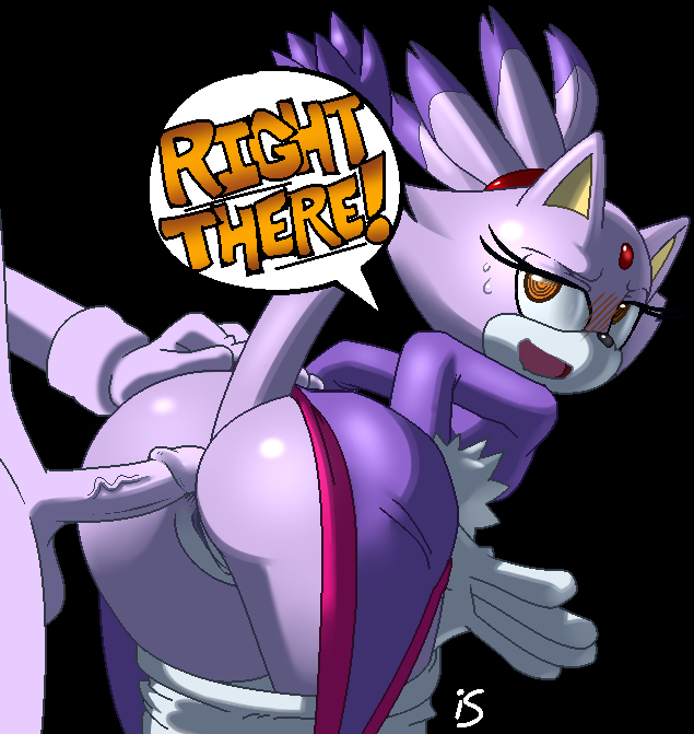 blaze the cat (sonic and 1 more) drawn by rockthebull
