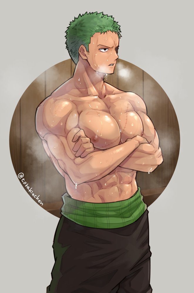 roronoa zoro (one piece) drawn by torakichi_(ebitendon)