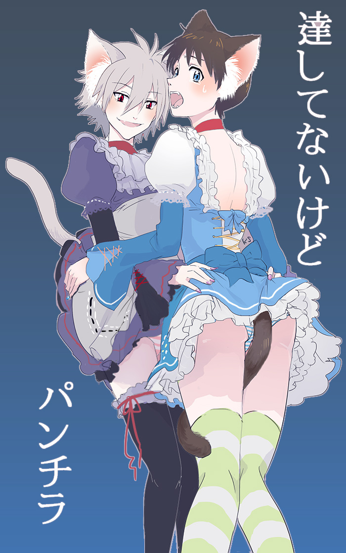 ikari shinji and nagisa kaworu (neon genesis evangelion) drawn by ks53