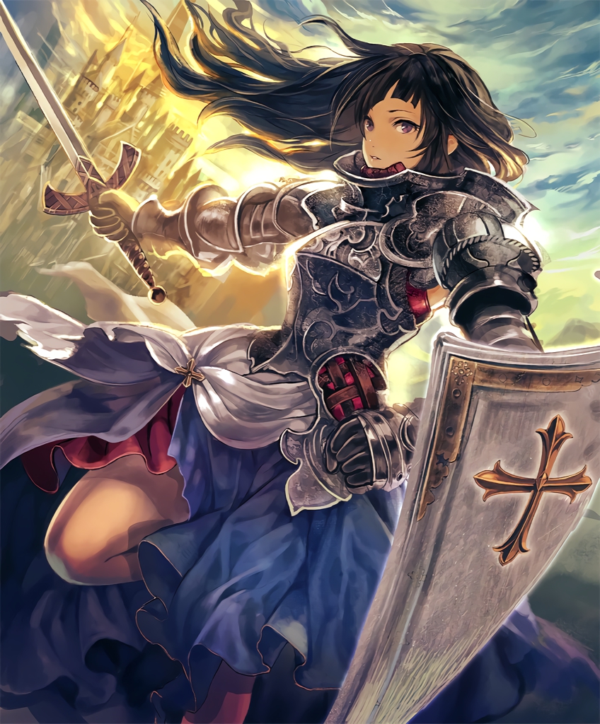 white paladin (shingeki no bahamut and 1 more)