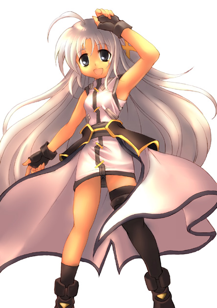 reinforce zwei (lyrical nanoha and 1 more) drawn by kouno_hikaru