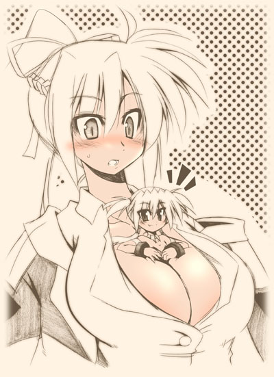 signum and agito (lyrical nanoha and 1 more) drawn by chizakya