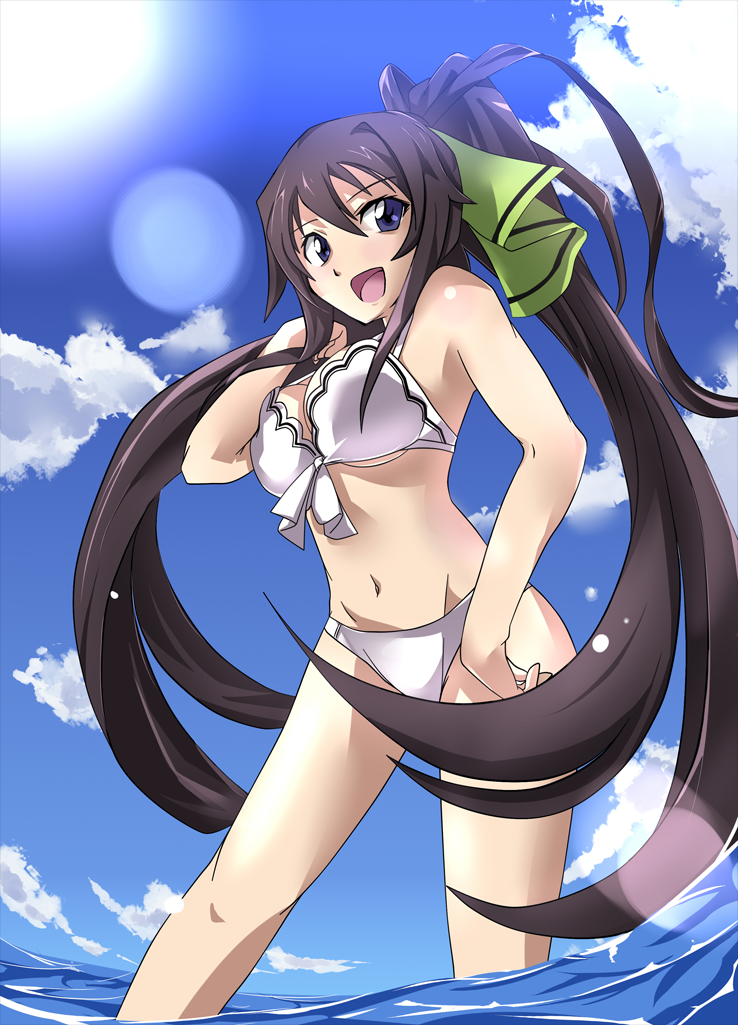 shinonono houki (infinite stratos and 1 more) drawn by hsuante and tales_(tales_of_phirmament)
