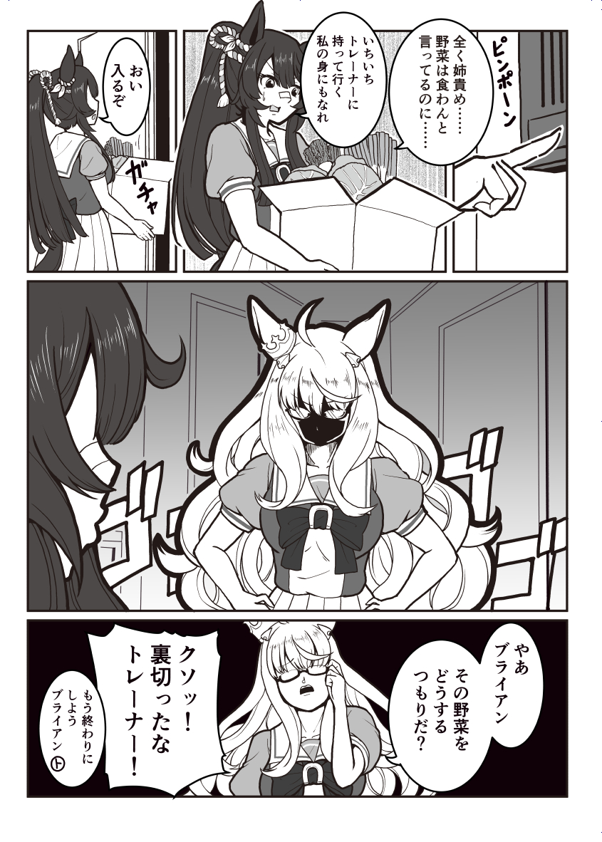 narita brian and biwa hayahide (umamusume) drawn by verta_(verlaine)