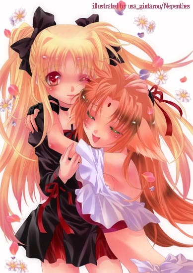 fate testarossa and arf (lyrical nanoha and 1 more) drawn by usa_gintarou