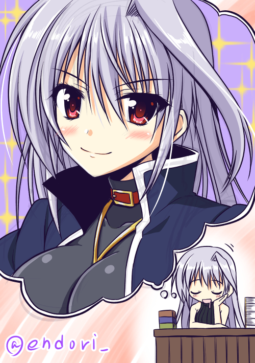 reinforce (lyrical nanoha and 1 more) drawn by endori