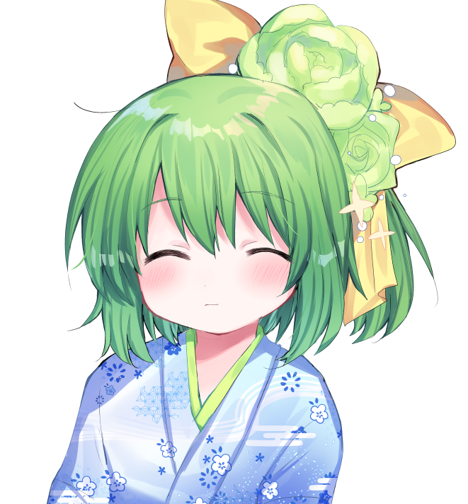 daiyousei and diyusi (touhou and 1 more) drawn by xox_xxxxxx