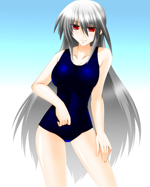 reinforce (lyrical nanoha and 2 more) drawn by engo_(aquawatery)
