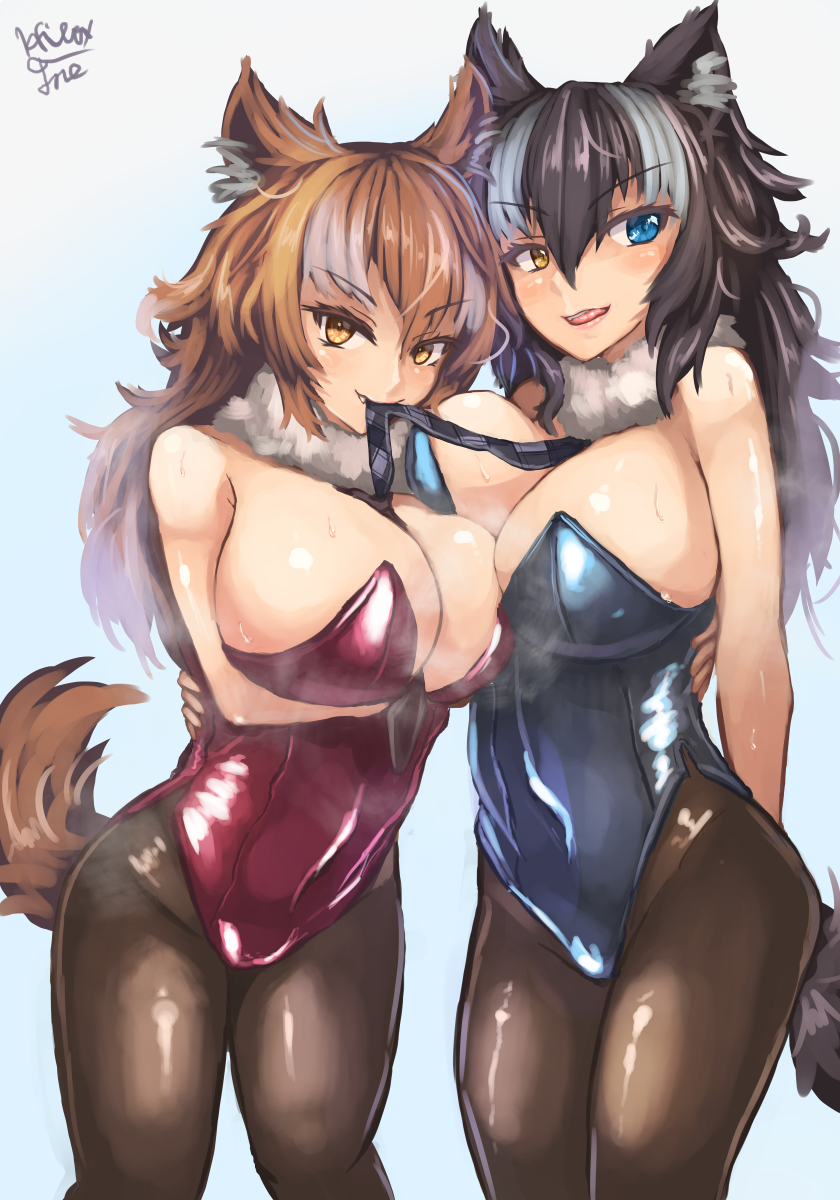grey wolf and japanese wolf (kemono friends) drawn by hibax-fre