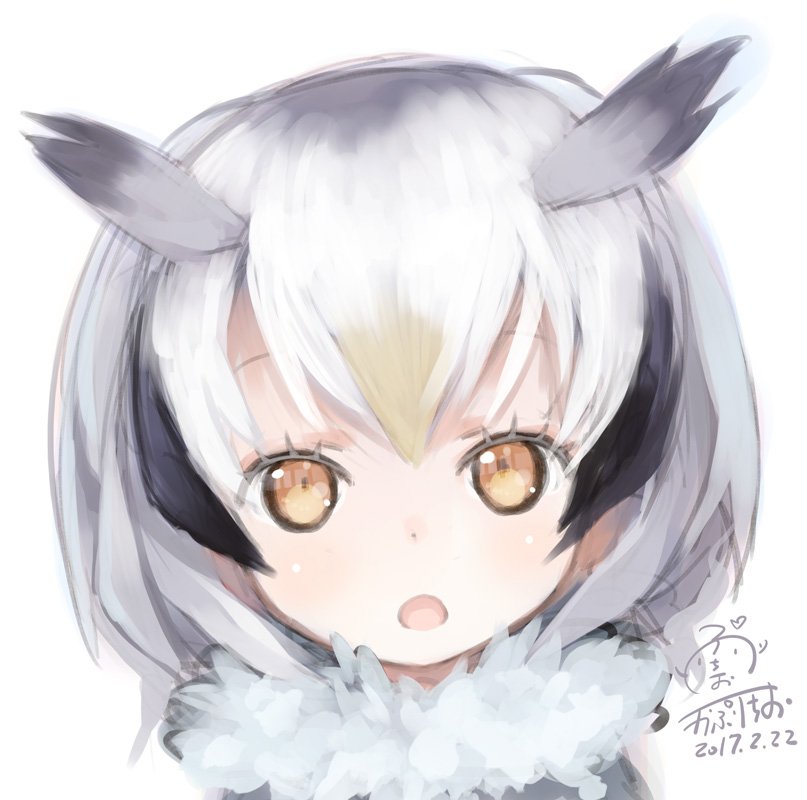 northern white-faced owl (kemono friends) drawn by capriccio