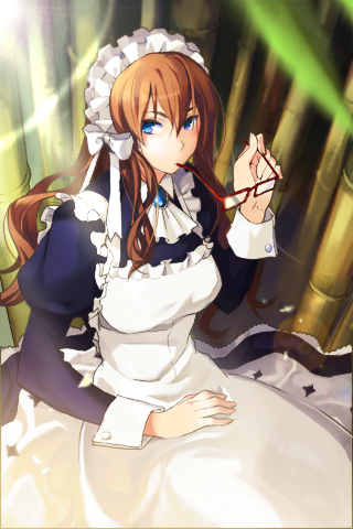 chief maid (sword girls) drawn by meer_rowe