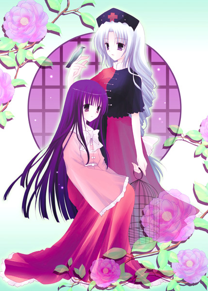 houraisan kaguya and yagokoro eirin (touhou) drawn by shirogane_hina