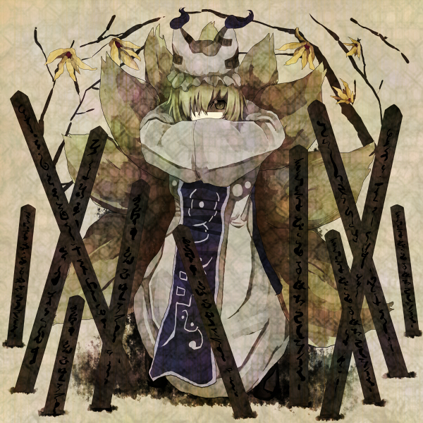 yakumo ran (touhou) drawn by tokoroten_(hmmuk)