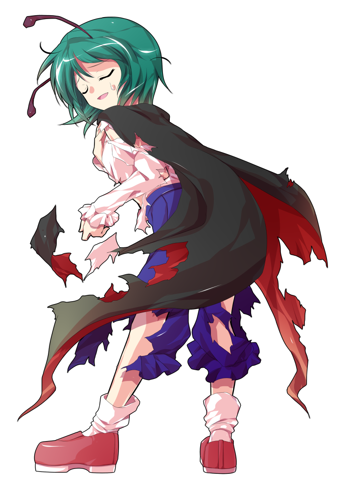wriggle nightbug (touhou and 1 more) drawn by dairi