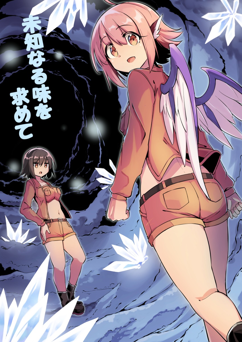 shameimaru aya and mystia lorelei (touhou) drawn by moja_(moja4192)
