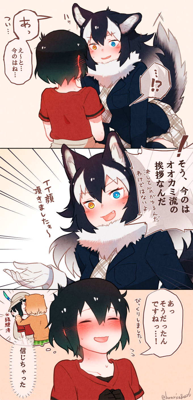 kaban, grey wolf, and black-tailed prairie dog (kemono friends) drawn by seto_(harunadragon)