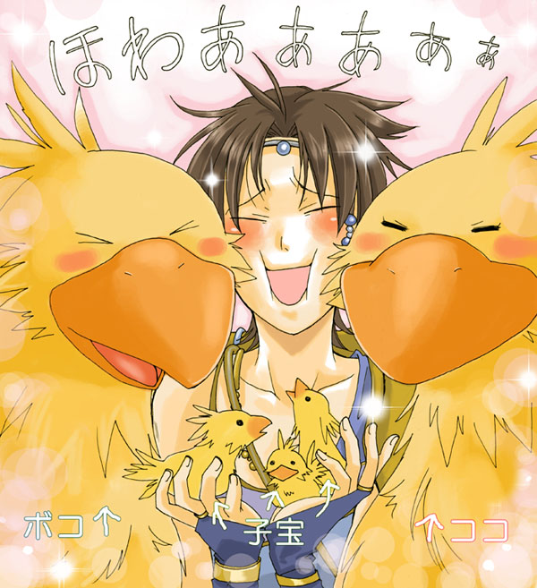 bartz klauser and boco (final fantasy and 1 more)