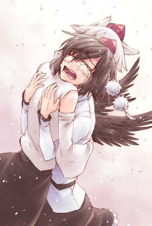 shameimaru aya and inubashiri momiji (touhou) drawn by hikawa_shou