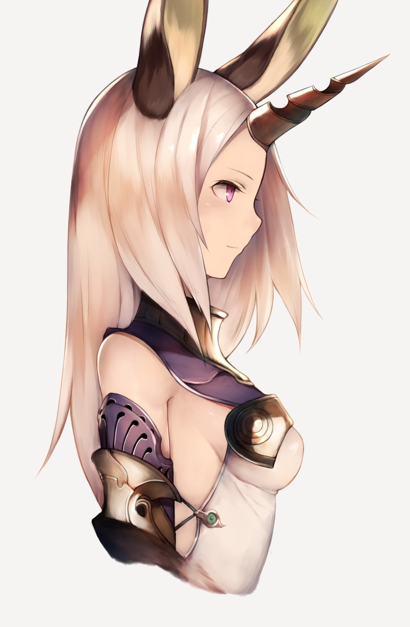 sarissa (shingeki no bahamut and 1 more) drawn by snm_(sunimi)
