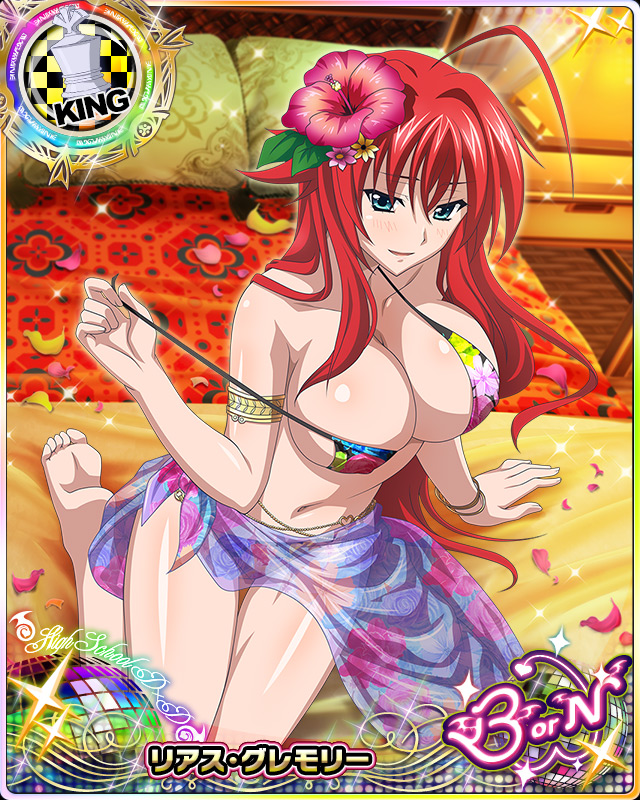 rias gremory (high school dxd and 1 more)
