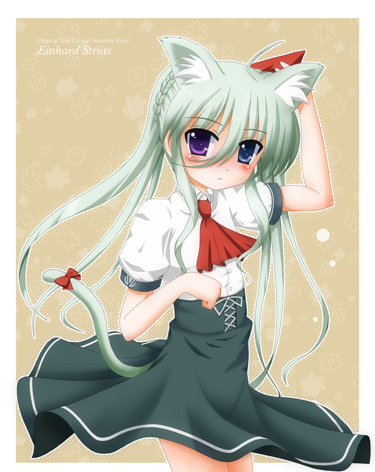 einhard stratos (lyrical nanoha and 1 more) drawn by flipper