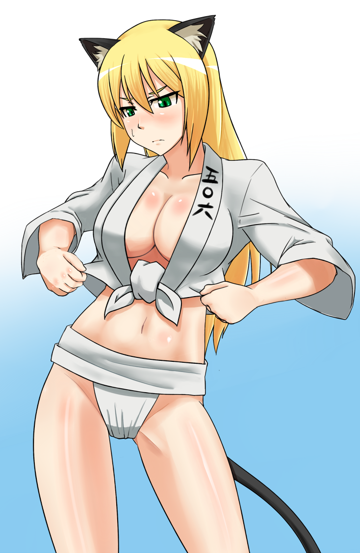 heinrike prinzessin zu sayn-wittgenstein (world witches series and 1 more) drawn by kunashiri_(etorofu)