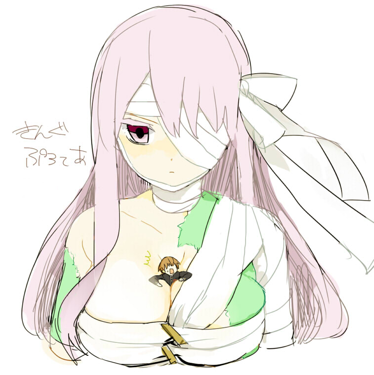 kingprotea (fate and 3 more) drawn by kihiro