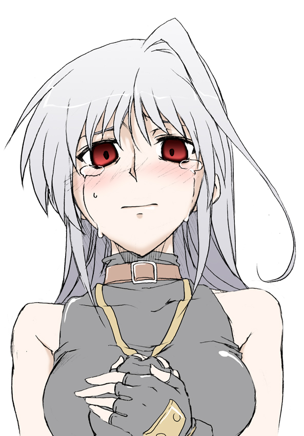 reinforce (lyrical nanoha and 2 more) drawn by elf_(stroll_in_the_woods)