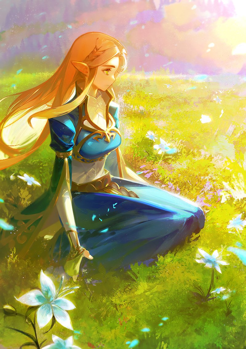 princess zelda (the legend of zelda and 1 more) drawn by gingx02