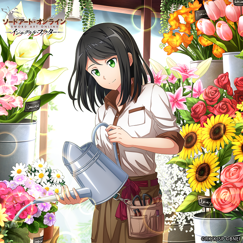 koharu (sword art online and 1 more)