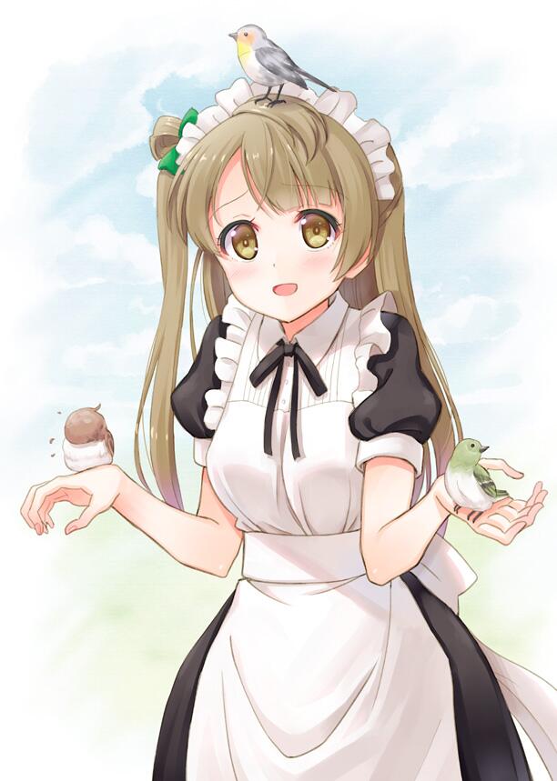 minami kotori (love live! and 1 more) drawn by hyuuga_azuri