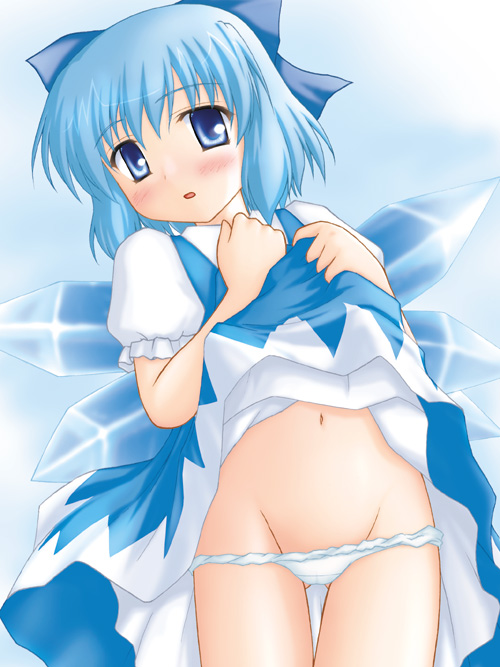 cirno (touhou) drawn by kotowari_(newtype_kenkyuujo)