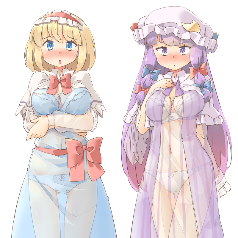 alice margatroid and patchouli knowledge (touhou) drawn by arnest