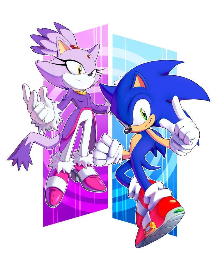 sonic the hedgehog and blaze the cat (sonic and 1 more) drawn by chaosc0ntr0l