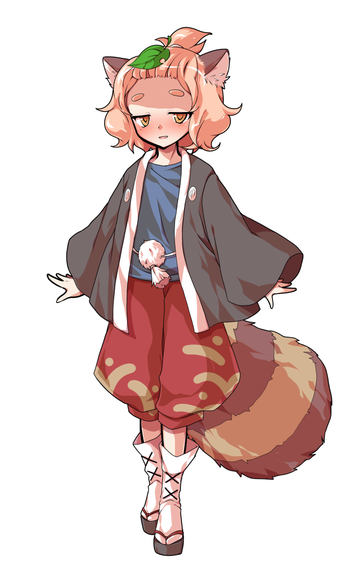 tanuki mob and topknot tanuki (touhou) drawn by dairi