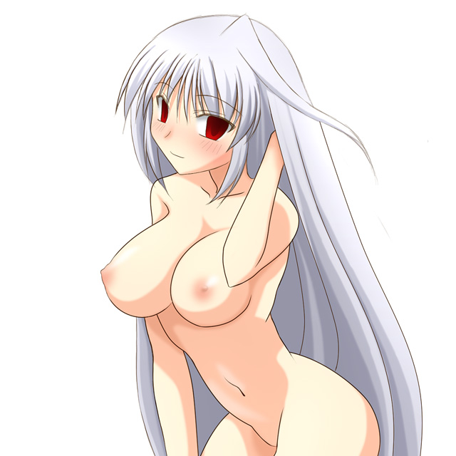 reinforce (lyrical nanoha and 2 more) drawn by ibuki_pon