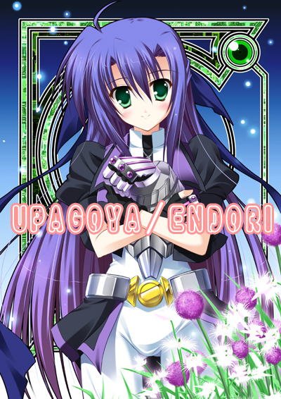 ginga nakajima and revolver knuckle (lyrical nanoha and 1 more) drawn by endori
