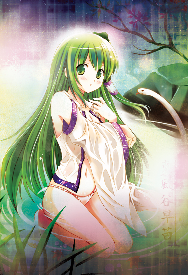 kochiya sanae (touhou) drawn by piyo_(trick_or_chick)