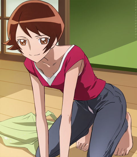 myoudouin tsubaki (precure and 1 more) drawn by haruyama_kazunori