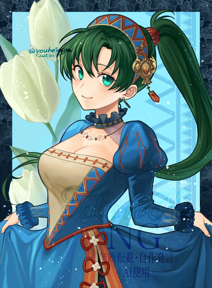 lyn (fire emblem and 2 more) drawn by kiyuu