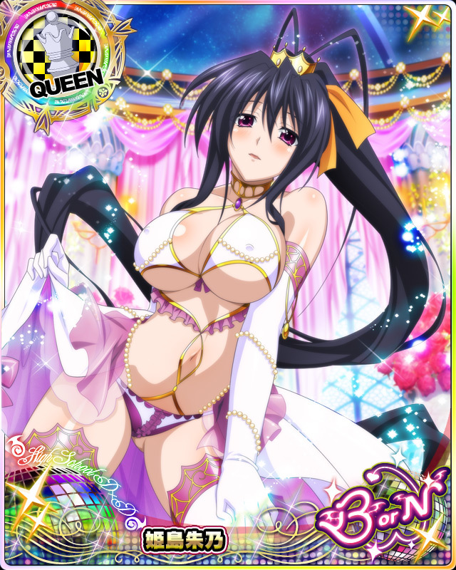 himejima akeno (high school dxd and 1 more)