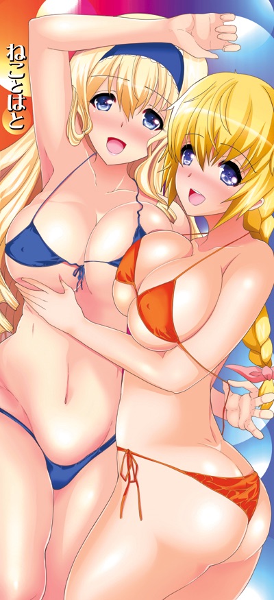 charlotte dunois and cecilia alcott (infinite stratos) drawn by hatoya_mameshichi
