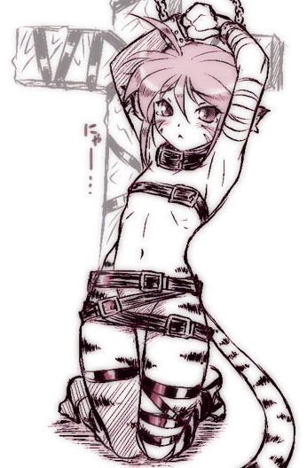 katt (breath of fire and 2 more) drawn by dr.p